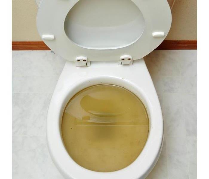 Toilet overflow